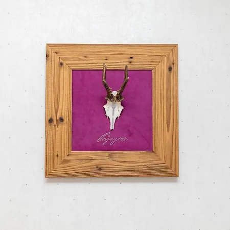 Enjoy The Alps פלאכאו