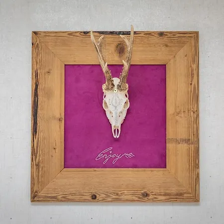 アパートホテル Enjoy The Alps