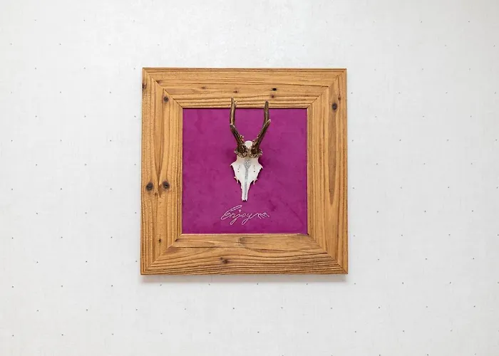 Enjoy The Alps - Φλαχάου